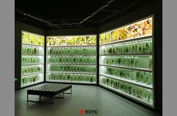 嘉藝展柜案例-福建中醫藥大學藥史館-14.jpg